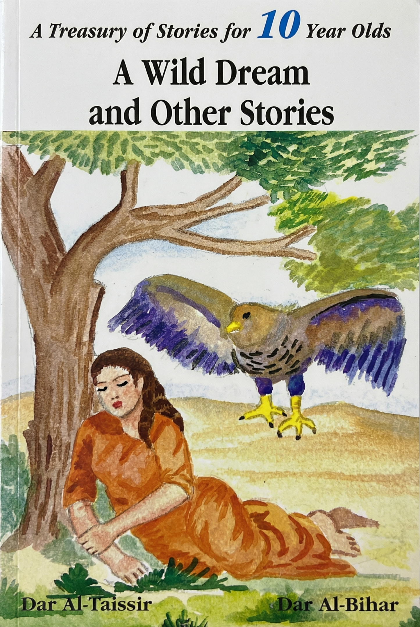 A Wild Dream and Other Stories